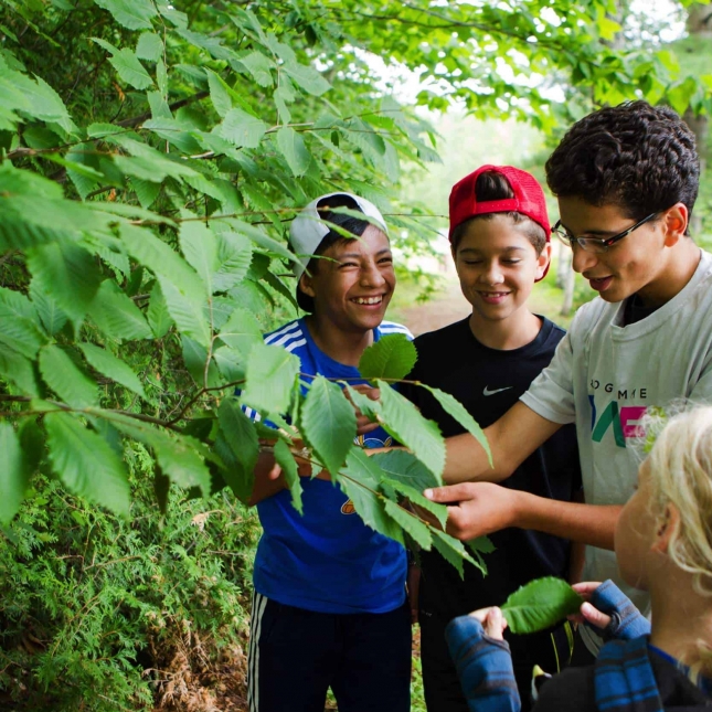 Mise à jour de la formation DAFA
